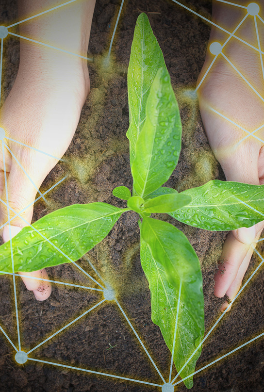 让客户满意、让员工满意、让股东满意